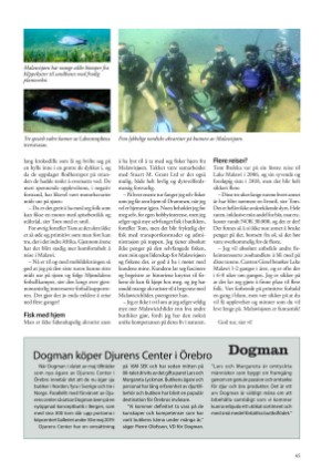 petscandinavia-20190615_002_00_00_045.pdf