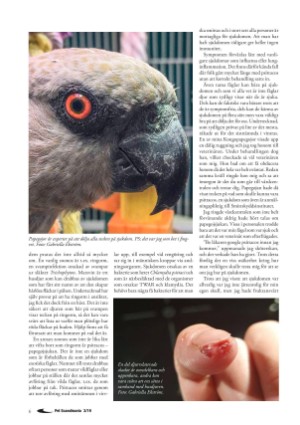petscandinavia-20190915_003_00_00_006.pdf