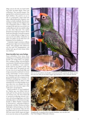 petscandinavia-20190915_003_00_00_007.pdf