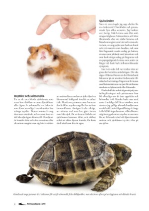 petscandinavia-20190915_003_00_00_008.pdf