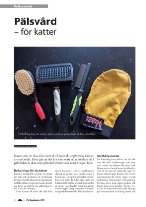 petscandinavia-20190915_003_00_00_012.pdf