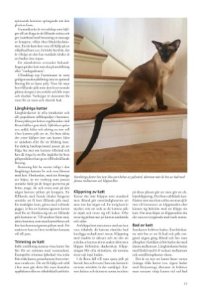 petscandinavia-20190915_003_00_00_013.pdf