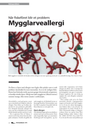 petscandinavia-20190915_003_00_00_018.pdf