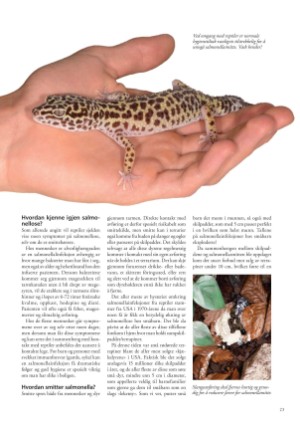 petscandinavia-20190915_003_00_00_023.pdf