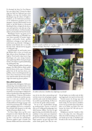 petscandinavia-20190915_003_00_00_029.pdf