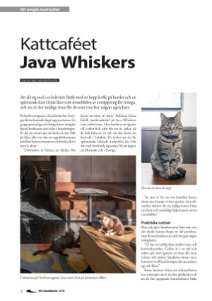 petscandinavia-20190915_003_00_00_032.pdf