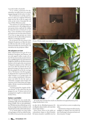 petscandinavia-20190915_003_00_00_034.pdf