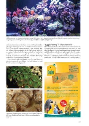 petscandinavia-20190915_003_00_00_045.pdf