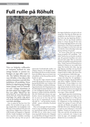 petscandinavia-20191215_004_00_00_009.pdf