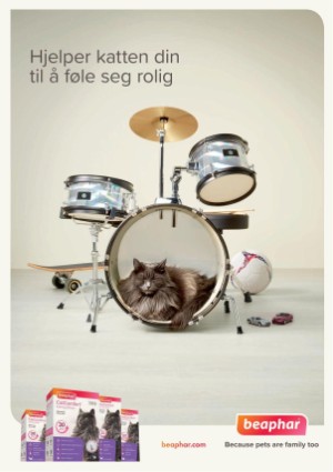 petscandinavia-20191215_004_00_00_017.pdf