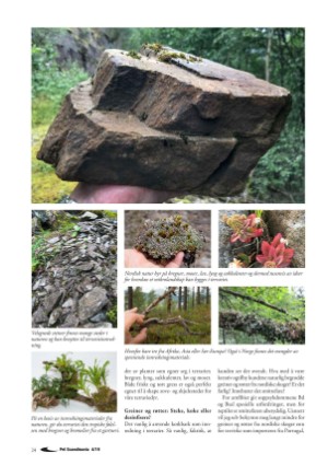 petscandinavia-20191215_004_00_00_024.pdf