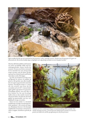 petscandinavia-20191215_004_00_00_026.pdf