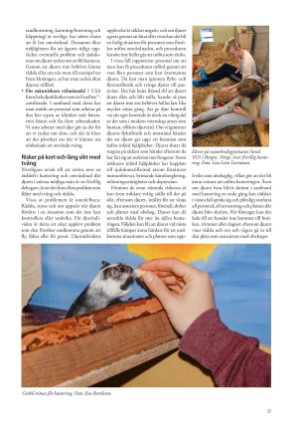 petscandinavia-20191215_004_00_00_037.pdf