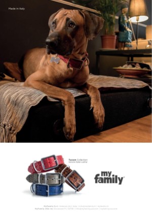 petscandinavia-20191215_004_00_00_039.pdf