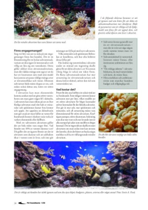 petscandinavia-20200315_001_00_00_024.pdf