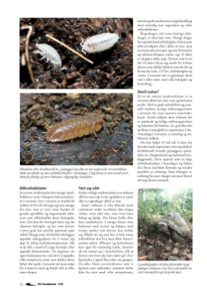 petscandinavia-20200315_001_00_00_028.pdf