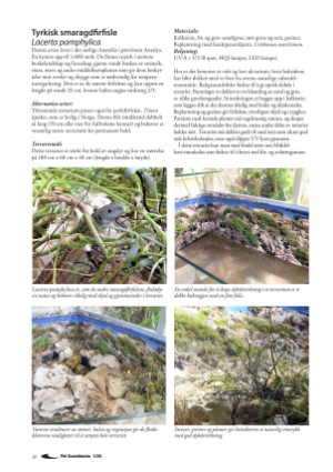 petscandinavia-20200315_001_00_00_030.pdf