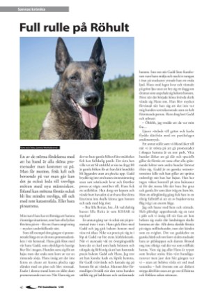 petscandinavia-20200315_001_00_00_040.pdf