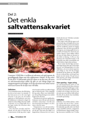 petscandinavia-20200615_002_00_00_042.pdf