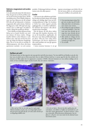 petscandinavia-20200615_002_00_00_045.pdf