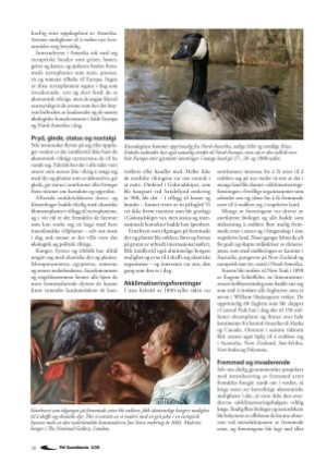 petscandinavia-20200915_003_00_00_018.pdf