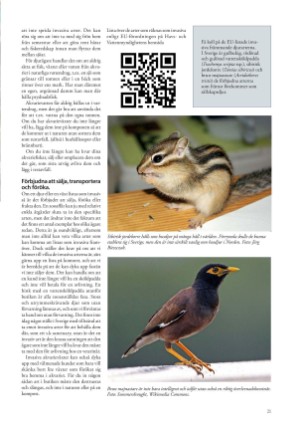 petscandinavia-20200915_003_00_00_021.pdf