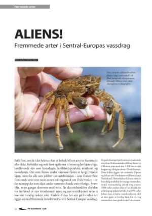 petscandinavia-20200915_003_00_00_022.pdf