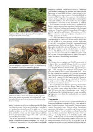 petscandinavia-20200915_003_00_00_024.pdf