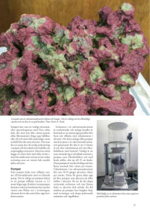petscandinavia-20200915_003_00_00_027.pdf