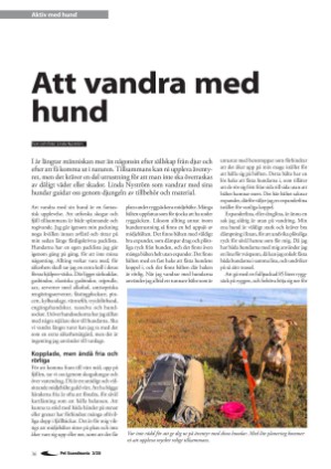 petscandinavia-20200915_003_00_00_036.pdf