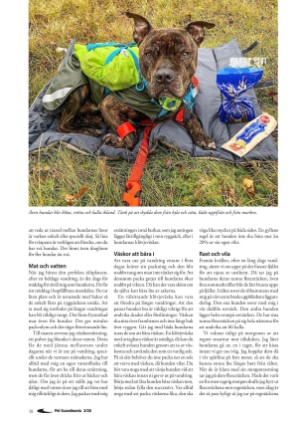 petscandinavia-20200915_003_00_00_038.pdf