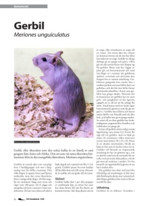 petscandinavia-20200915_003_00_00_040.pdf