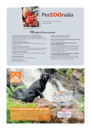 petscandinavia-20200915_003_00_00_045.pdf