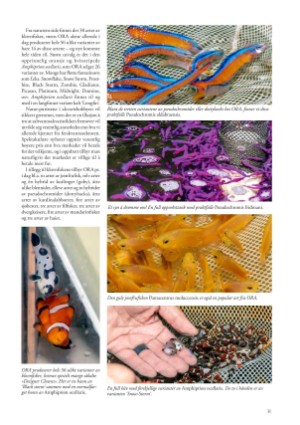 petscandinavia-20201215_004_00_00_031.pdf