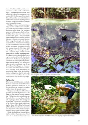 petscandinavia-20201215_004_00_00_037.pdf