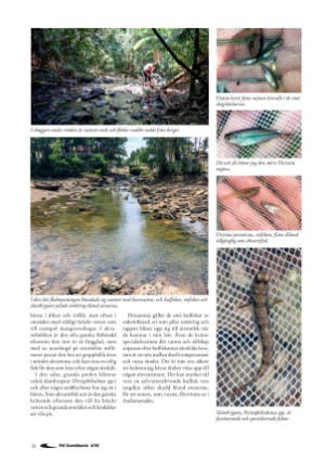 petscandinavia-20201215_004_00_00_038.pdf