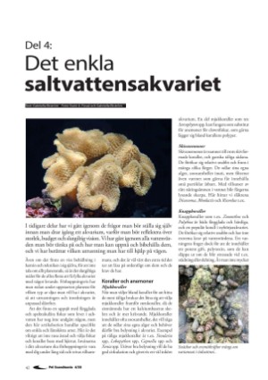 petscandinavia-20201215_004_00_00_042.pdf