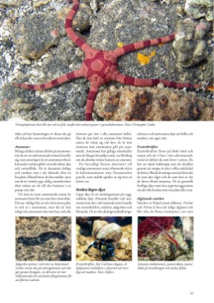 petscandinavia-20201215_004_00_00_043.pdf