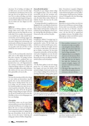 petscandinavia-20201215_004_00_00_044.pdf
