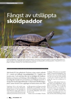 petscandinavia-20210315_001_00_00_022.pdf