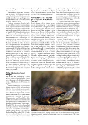 petscandinavia-20210315_001_00_00_023.pdf