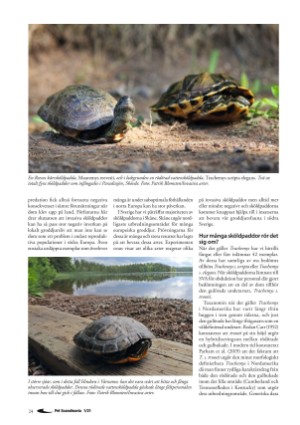 petscandinavia-20210315_001_00_00_024.pdf