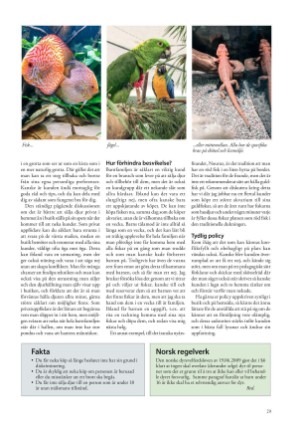 petscandinavia-20210315_001_00_00_029.pdf