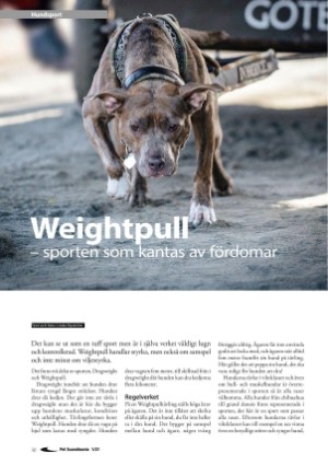 petscandinavia-20210315_001_00_00_030.pdf