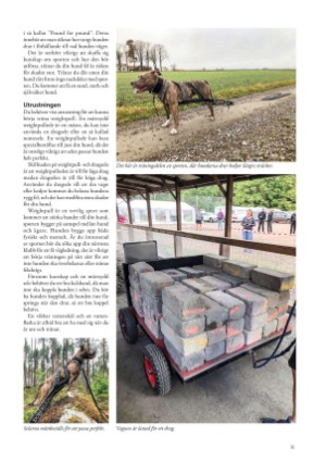 petscandinavia-20210315_001_00_00_031.pdf