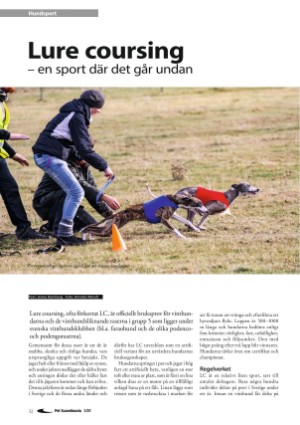petscandinavia-20210315_001_00_00_032.pdf