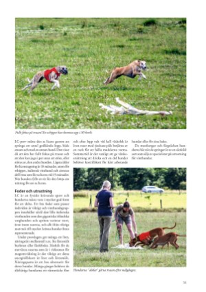 petscandinavia-20210315_001_00_00_033.pdf