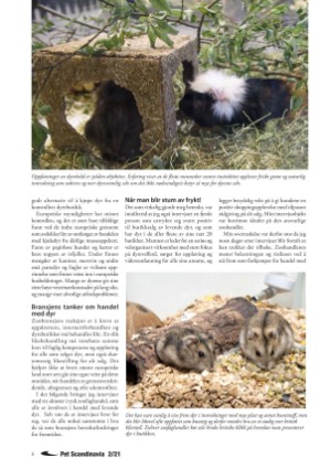 petscandinavia-20210615_002_00_00_006.pdf