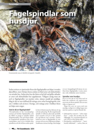 petscandinavia-20210615_002_00_00_022.pdf