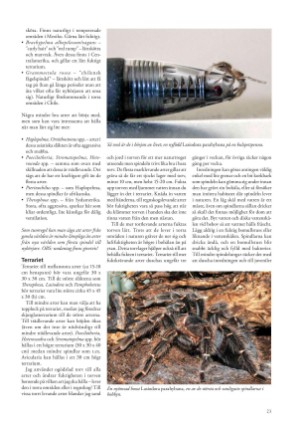 petscandinavia-20210615_002_00_00_023.pdf